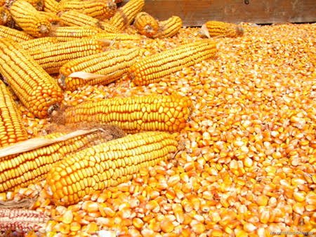 Murari Mohan Traders photo 4
